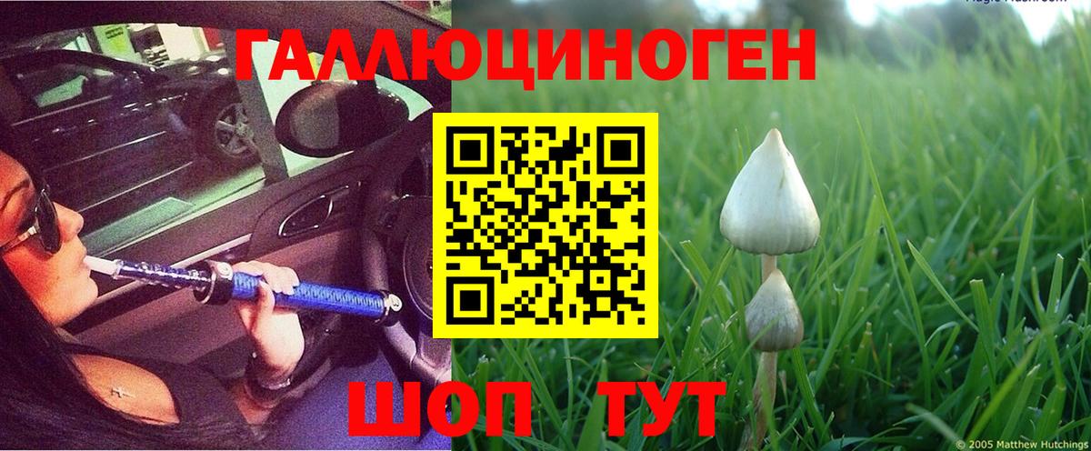 Галлюциногенные грибы мухоморы  Вход с VPN  Алексеевка  Псилоцибиновые грибы мицелий 