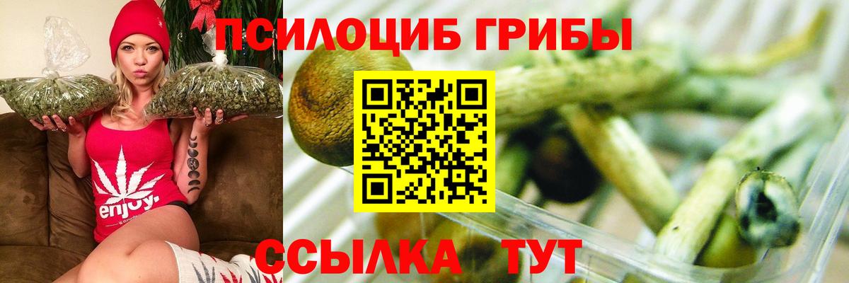 Галлюциногенные грибы Cubensis  Галлюциногенные грибы Magic Shrooms  Алексеевка 